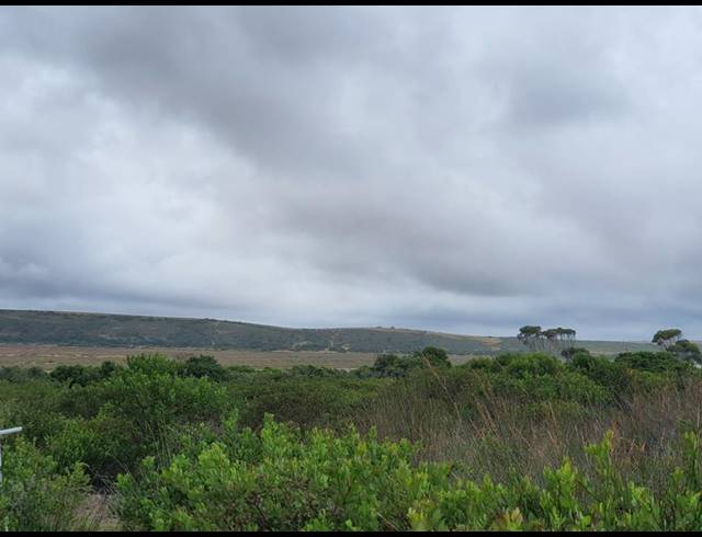 FARM FOR SALE IN GOURITSMOND RURAL